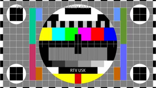 Capture Image RTV USK MUX-D-VLASIC