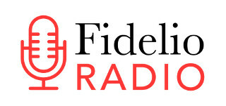 Slideshow Capture DAB Fidelio Radio